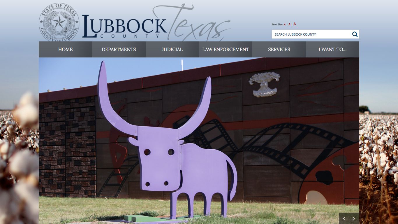 Online Access to Court Records - Lubbock County